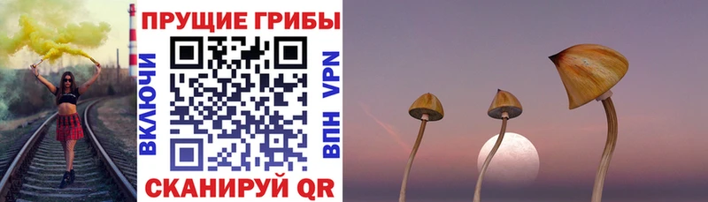 Псилоцибиновые грибы MAGIC MUSHROOMS  блэк спрут маркетплейс  Ликино-Дулёво 